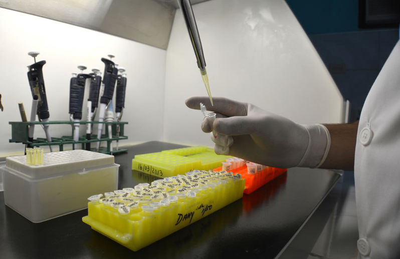 1208 cientificos del reino unido en holguin2