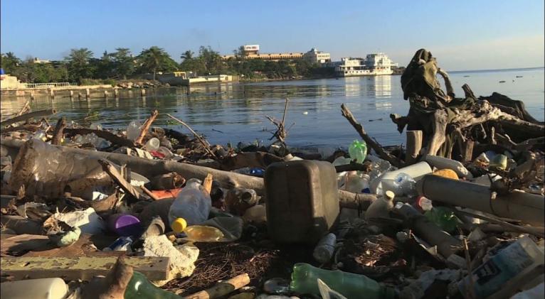 Red Verde por el planeta Red Verde por el planeta