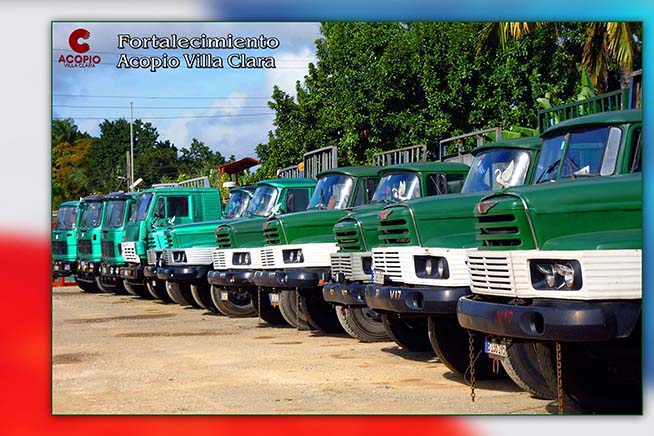 Acopio como Grupo Empresarial 