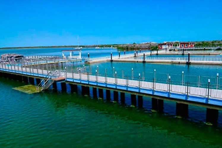 Funciona nuevo delfinario en destino turístico de Cuba