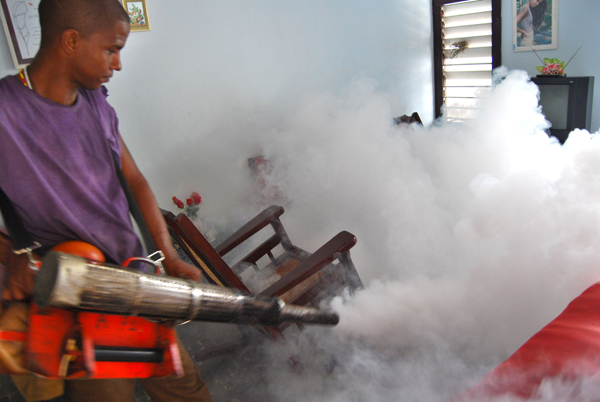 Jóvenes asumen tareas contra el mosquito Jóvenes asumen tareas contra el mosquito