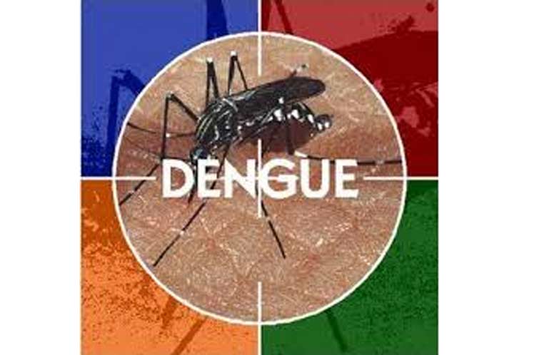 Dengue Dengue