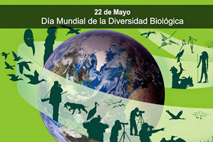 Día Internacional de la Diversidad Biológica Día Internacional de la Diversidad Biológica