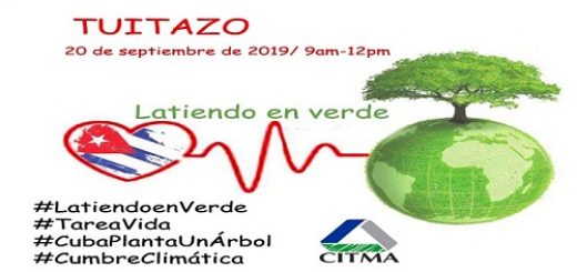 tuitazo Latiendo en Verde