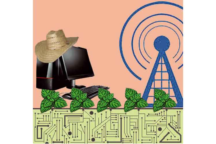 Imagen alegórica a la nformatización en la agricultura