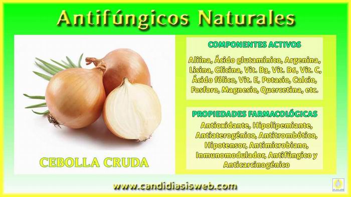 La cebolla reduce los síntomas de fatiga, ansiedad y depresión La cebolla reduce los síntomas de fatiga, ansiedad y depresión