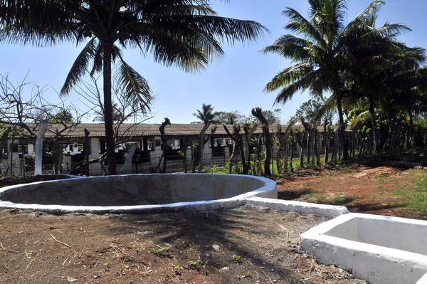 Valiosa contribución energética para proteger el entorno 