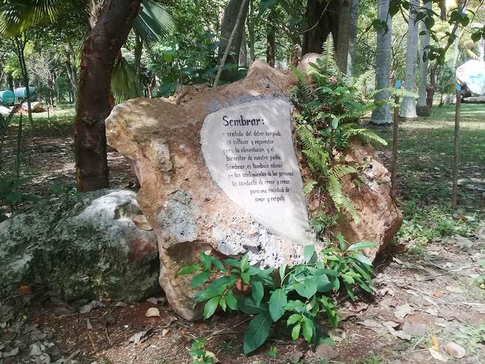 Bosque Martiano del Ariguanabo Bosque Martiano del Ariguanabo