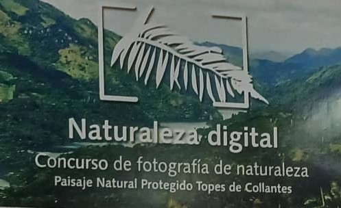 Concurso de Fotografía ¨Naturaleza Digital 2025¨