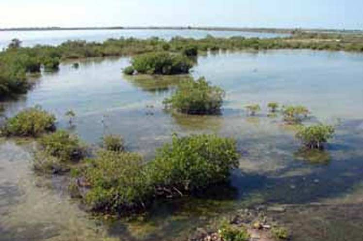 Ciénaga de Zapata, escenario ideal para Turnat 2019 Ciénaga de Zapata, escenario ideal para Turnat 2019