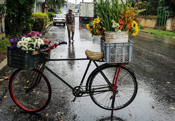 Florero, flores…! azucenas, girasoles.
