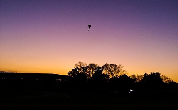 Papalote sobre morado.