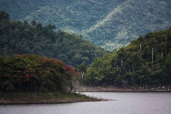 Medio ambiente: La hora de cambiar, o el planeta nos cambiará a nosotros