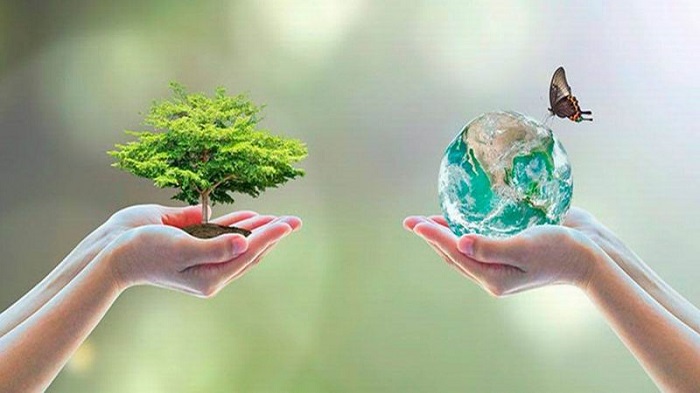 ¿Cómo salvar una importante especie biológica?