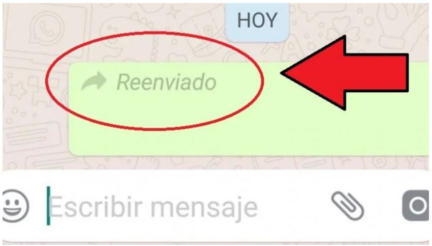 Mensaje que aparece en WatsApp cuando se reenvía un mensaje.