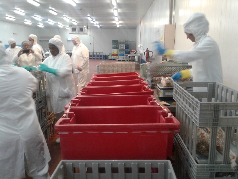 Realiza vicepresidente del Consejo de Ministros visita por Mayabeque