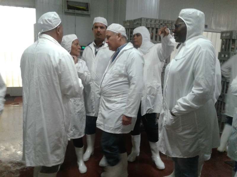 Realiza vicepresidente del Consejo de Ministros visita por Mayabeque