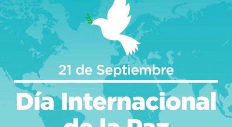 paz11