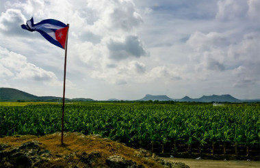Contribuyen desde la ciencia a soberanía alimentaria en Holguín