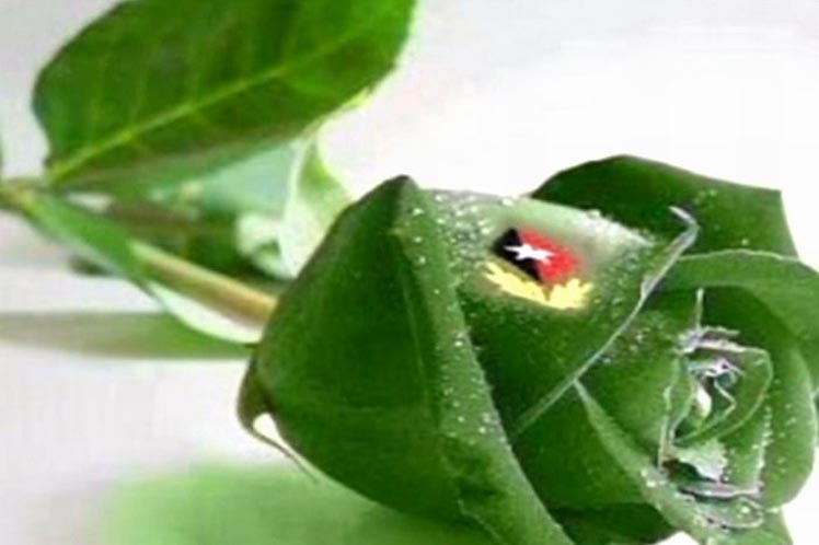 En toda Cuba, homenaje a Fidel 